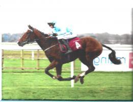 Nigel Mosley Speaker